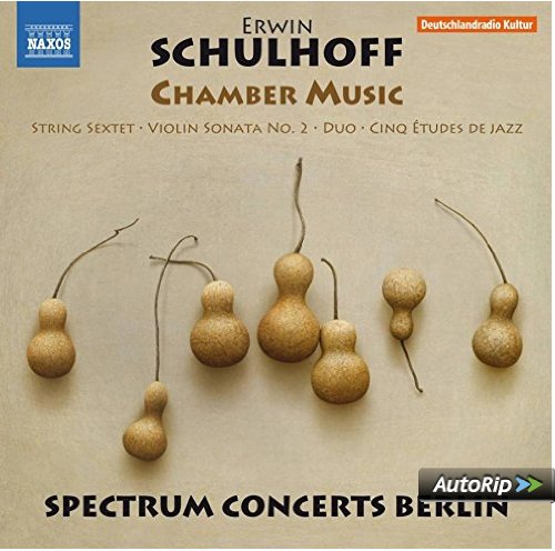 schulhoff-spectrum