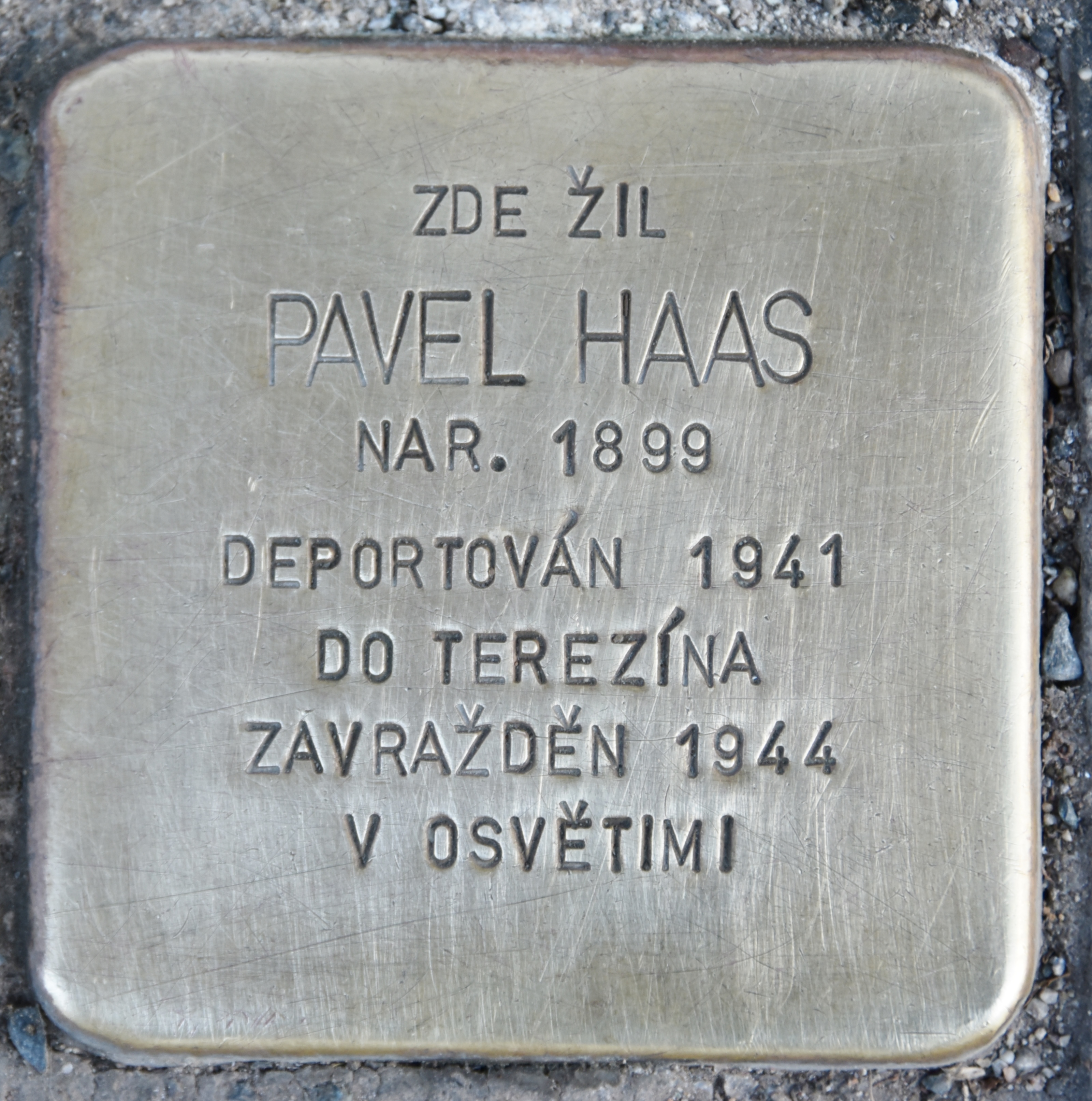 Haas stolperstein in Brno