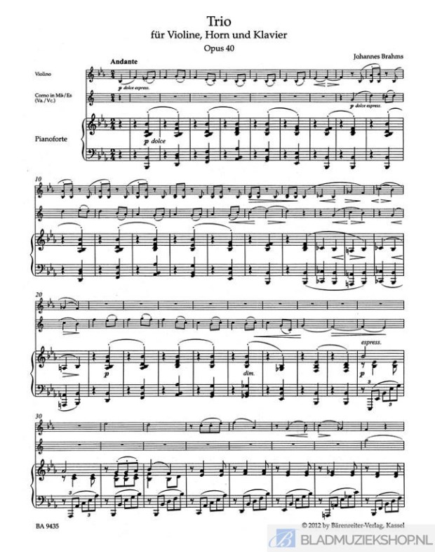 Gvetadze hoorntrio Brahms