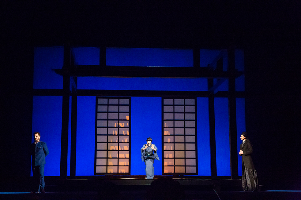 SAG_4085 - butterfly